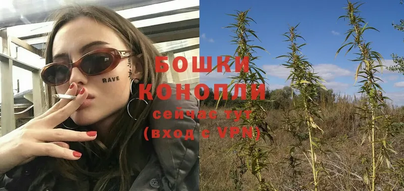 Конопля THC 21%  как найти   Владимир 